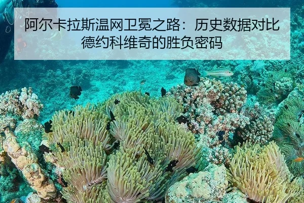 阿尔卡拉斯温网卫冕之路：历史数据对比德约科维奇的胜负密码