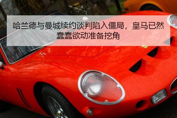 ha-lan-de-yu-man-cheng-xu-yue-tan-pan-xian-ru-jiang-ju-huang-ma-yi-ran-chun-chun-yu-dong-zhun-bei-wa-jiao-3-397.jpg